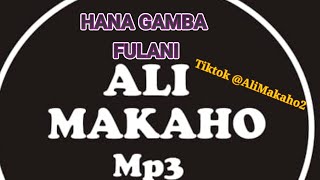 ALI MAKAHO Part 25 HANA GAMBA FULANI Official Audio Full alimakaho21592 [upl. by Ewolram]