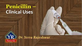 Penicillin  Clinical Uses  Clinical uses of Penicillins  YR Pharma Tube  Dr Yerra Rajeshwar [upl. by Dorise107]