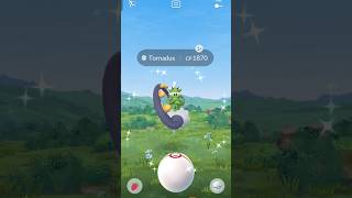 got shiny ✨ tornadus in Pokemon go [upl. by Jan]