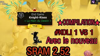 SRAM 252 DO CRIT AIREAU PVP  DOFUS 252 [upl. by Tremain]