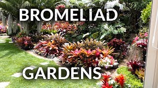 BROMELIAD GARDENS [upl. by Chuu]