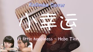 小幸运  Hebe Tien A little happiness Kalimba Cover by ChubbyNatty [upl. by Asemaj]