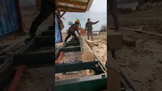 Cutting 15 ash beams Timberking 1220 sawmill [upl. by Rior779]