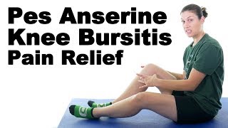 Pes Anserine Knee Bursitis Stretches amp Exercises  Ask Doctor Jo [upl. by Wixted]