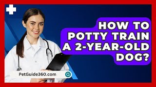 How To Potty Train A 2YearOld Dog  PetGuide360com [upl. by Forkey]