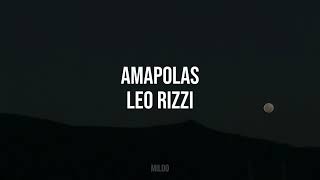 Amapolas  Leo Rizzi Letra [upl. by Naggem]