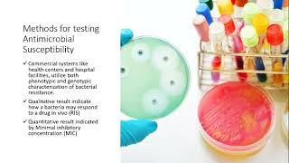 Antimicrobial Susceptibility Testing [upl. by Eon]