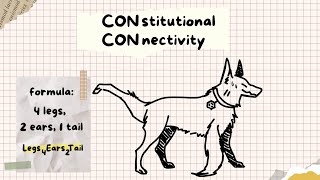 Constitutional vs Stereo Isomers in Organic Chemistry  practice problems [upl. by Ardnnaed]