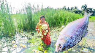 15 kg পদ্মার ইলিশ মাছ কেটে দুই ধরণের রান্না করলাম সাথে ইলিশমাছের মাথা দিয়ে শাপলা রেসিপিfish curry [upl. by Hike]