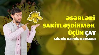 Daz Otu Nədir Ən Yaxşı Faydaları və İstifadə Taktikaları [upl. by Dlawso]