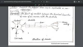 Control and Coordination class 10 science chapter 7  Complete One Shot [upl. by Yreffej]