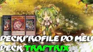 MEU DECK PROFILE DA TRAPTRIX E COMBO PRINCIPAL  YuGiOh TCG  Deck Profile e Combo [upl. by Eznyl]