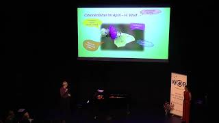 Schoolconcert quotOde aan de insectenquot Marjolein amp Elewout Acke [upl. by Lexine]