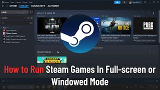 How to Run Steam Games In Fullscreen or Windowed Mode [upl. by Ylrebma]