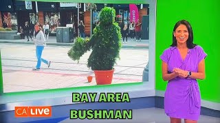 Bay Area Bushman featured on NBC’s California Live Full segment  interview [upl. by Akelam]