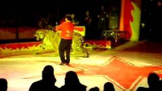 circo atayde hermanos en tepic nay domador de tigres de vengala [upl. by Rosenblatt547]