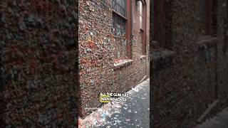 The Gum Wall Is Gone 😳 [upl. by Aiynot]