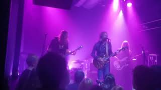 The Steepwater Band quotHoney Beequot Tom Petty [upl. by Cathrine]