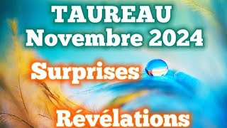 TAUREAU Novembre 2024 Vous Allez Être Surpris De Certaines Personnes [upl. by Nohsyt]