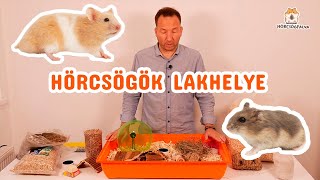 Amit a 🐹 hörcsög tartásáról tudni kell  1 legfontosabb dolog a hörcsögketrecbe 🐹 [upl. by Sinegra216]