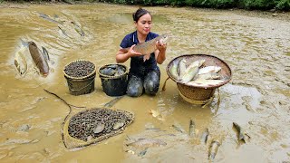 Process Harvesting Fish amp snails in farm  Grilled fish  Cooking  Puppy [upl. by Yrffej]