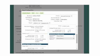 WPPSI IV Interpretive Reports Presentation [upl. by Samul]