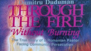 Dumitru Duduman Ch 2 [upl. by Neiman]