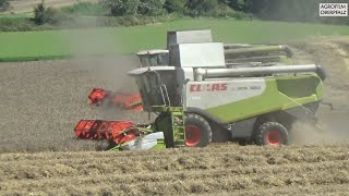 Endspurt Dreschen 23  Claas Lexion 740 und 560 geben alles  Landwirtschaftl Lohnbetrieb Zollner [upl. by Wight]