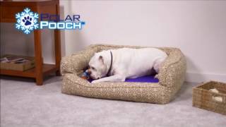 POLAR POOCH  Tapis pour chien autoréfrigérant  Best Of TV [upl. by Yoj]