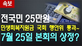 전국민 25만원 민생회복지원금 국회 행정안전위원회 통과 7월 25일 국회 본회의 상정 예정  지급대상 지급금액 지급방법 지급시기 사용방법 [upl. by Jerroll996]