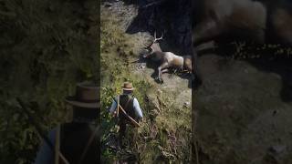 Rdr2 Killing A Big Rocky Mountain Bull Elk 🥵💀 rdr2 subscribe gaming [upl. by Celinka]