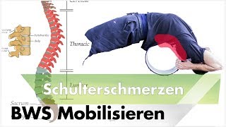 Brustwirbelsäule Mobilisieren  Schulterschmerzen amp Impingement Masterplan 2 [upl. by Norit107]