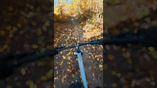 MTB ROUTE DE DELLENcanyonbikes newmtb djiosmoactioncamera [upl. by Ilahtan]