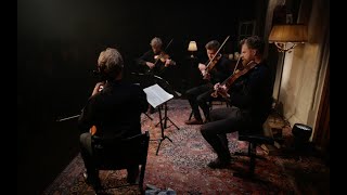 Danish String Quartet plays Beethoven quartet in c minor op 18 no 4 1st mov [upl. by Minette]