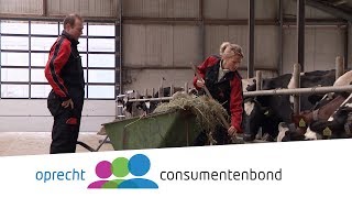 Hypotheek als melkkoe  KoopKracht Consumentenbond [upl. by Esined]