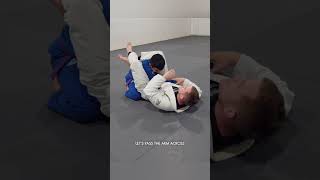 Triangle Choke from Full Guard Blue Belt Curriculum [upl. by Hearsh]