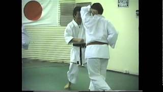 Jyoshinmon Elizabeth Dojo KarateDo Memories [upl. by Goodyear]