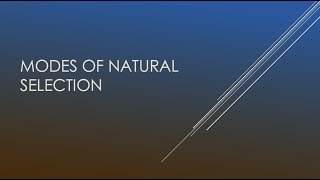 Modes of Natural Selection  Biology [upl. by Aeki839]