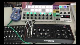 Using the Beatstep Pro amp Moog DFAM as a melodic instrument [upl. by Anneiv]