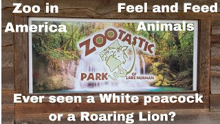 Zootastic Park  Troutman  Animal Encounter Zoo NC  Walktour Vlog5 [upl. by Grae680]