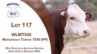 Lot 117 Morganvale Tobruk T245 PP [upl. by Burroughs147]