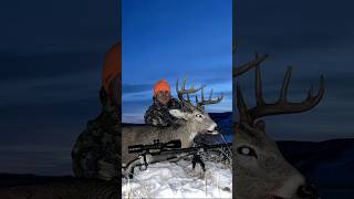 MONTANA 10 POINT hunting wildlife deer hunt nature montana sitka sunset whitetaildeer [upl. by Neik788]