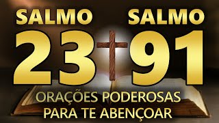 SALMO 91 E SALMO 23 AS DUAS ORAÇÕES MAIS PODEROSAS DA BÍBLIA  CONTRA TODO TRABALHO E FEITIÇARIA [upl. by Dom]