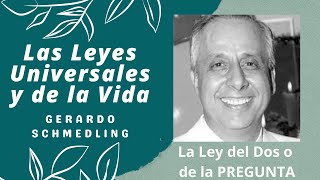 24  Las RESPUESTAS del Universo a Nuestras PREGUNTAS  Gerardo Schmedling [upl. by Reddy]