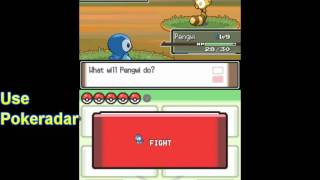 How to get Sentret Pokémon Platinum [upl. by Dent]