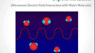 Webinar Microwave Chemistry Made Fast and Easy with Discover SP [upl. by Garate]