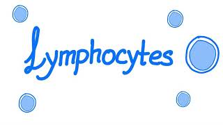 Lymphocytes  Your Specialized Immunity  White Blood Cells [upl. by Nalahs289]