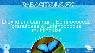 L3dipylidium caninum echinococcus granulosus echinococcus multilocularis parasitology [upl. by Enirehtahc325]