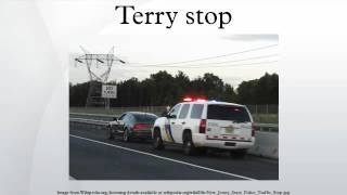 Terry stop [upl. by Analahs]