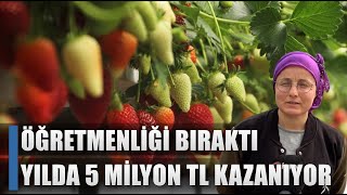 Öğretmenliği Bıraktı Yılda 5 Milyon TL Kazanıyor Topraksız Tarımla Üretim  AGRO TV HABER [upl. by Swanhilda514]